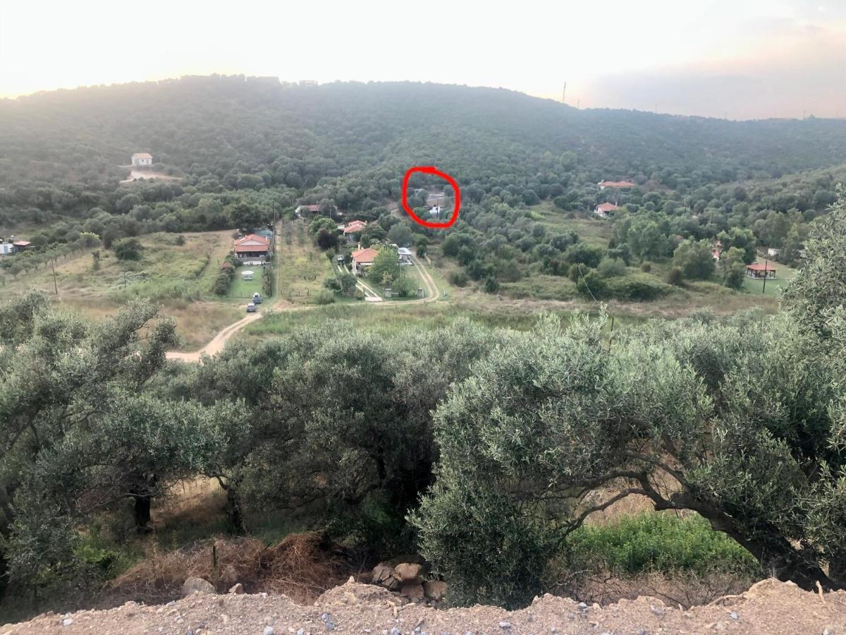 Holiday home Anna's Olive Grove *