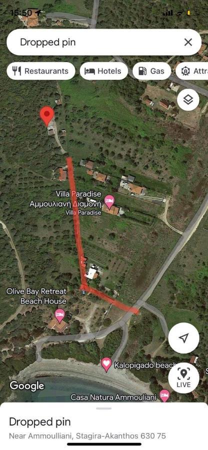 Anna's Olive Grove *